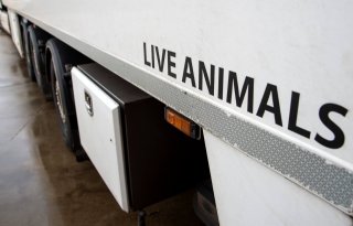 Tweede reiniging en ontsmetting vanwege vogelgriep in Frankrijk en Portugal