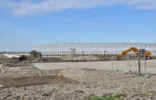 Heffingen stoppen nieuwe orders voor Nederlandse kassenbouwers