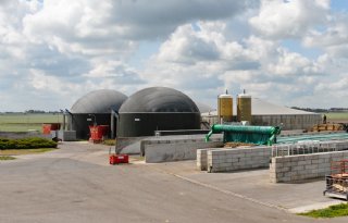 Mestvergisting moet perspectief bieden voor melkveehouders op Terschelling