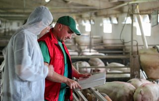 Amerikaanse zeugenstapel krimpt, maar prestaties verbeteren