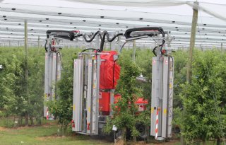 Fruitsector in actie voor betere naleving regels gewasbescherming
