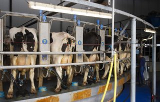 Melkprijs in april 14 procent hoger dan jaar eerder