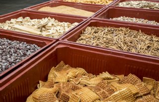 Schothorst Feed Research onderzoekt CO2-voetafdruk in relatie tot reductiedoelen