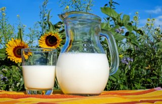 Verboden gezondheidsclaims op paarden- en ezelinnenmelk