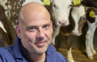 'Overstap kalf van melkveebedrijf naar kalverhouderij wordt groter'