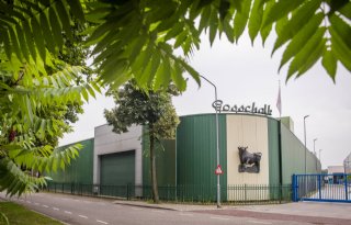 Fuite sluit kalverslachterij in Oldenzaal