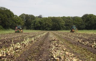 Goes noteert minder voor plantuien