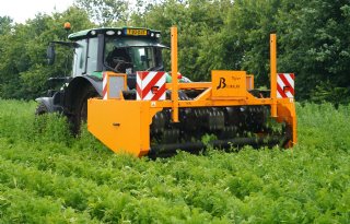 Beslisschema's helpen telers bij onkruidbeheersing met minder chemie