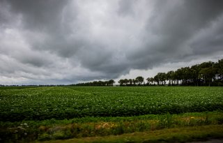 Hagel en storm veroorzaken schade in grensgebied