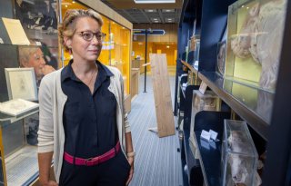 Fase 1 richting PRRS-vrije varkenshouderij is al begonnen