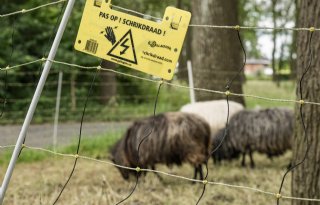 Helft subsidies voor wolfwerende rasters nog op de plank