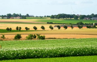 Enorme stijging braakland in België