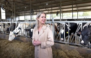 1,6 miljard euro extra voor extensiveren, stoppersregeling en doelsturing