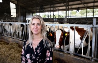 Wiersma noemt acties bij slachterijen 'totaal onaanvaardbaar'