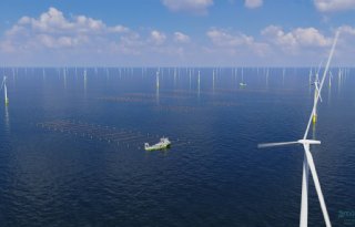 Grootschalige zeewierboerderij opent voor Nederlandse kust