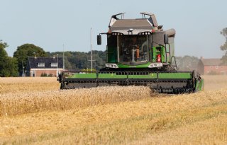 'Het is een tarwejaar volgens het boekje'