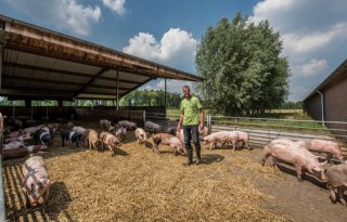 Weekend van het Varken telt dit jaar acht deelnemers