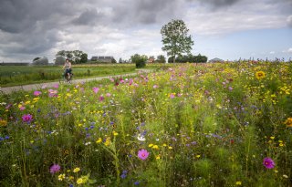Urgenda breidt samenwerking met boeren uit: 1.000 euro per hectare