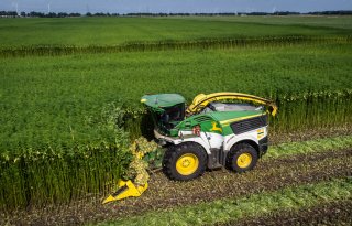 'Overheid moet barrières wegnemen voor grotere inzet biobased bouwmaterialen'