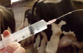 Resistente bacteriën nog altijd hoog bij mens en dier