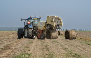 Kansen voor lange vezels in de textielindustrie