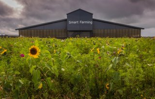 CO2-productie melkgevende Holstein-Friesian koeien wordt onderschat