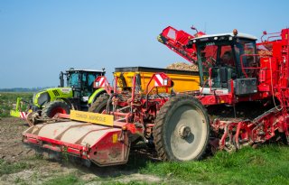 Franse aardappeloogst kleiner dan eerder verwacht