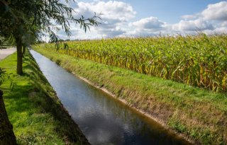 Voorlopig nog geen versoepelingen nitraatbeleid, aanscherping in het zuiden