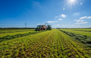 Voorjaar en herfst compenseren slechte zomer voor ruwvoer