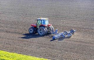 Nattigheid zorgt voor extra risico op slakkenschade in granen