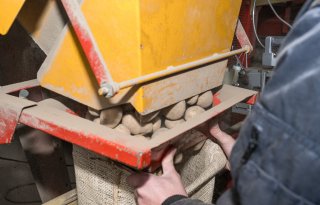 Belgisch pootgoedareaal stijgt 9,9 procent na tekortjaar