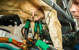 Melkprijs in Duitsland stijgt in maart