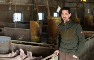 'Onze varkens waren echt dol op de levende meelwormen'