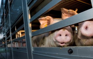 Transportwaardigheid: zoeken naar duidelijke grens tussen groen en oranje