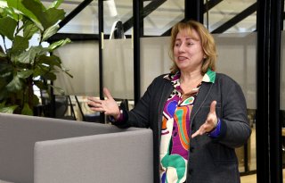 Organisatie voor promotie sierteelt gaat op zoek naar nieuwe directeur