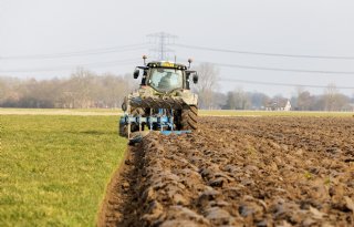Areaal grasland krimpt met 15.400 hectare in vier jaar