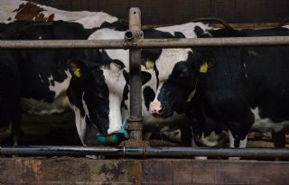 84 procent van Lvvp-regeling nog onbenut