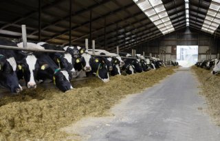 Royal Lactalis Leerdammer voert transparanter prijssysteem door