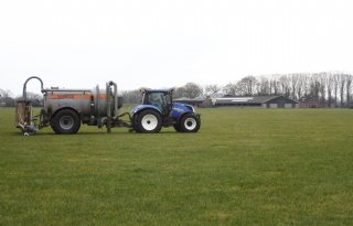 Gelderland wil pilot dierlijke mest als vervanger kunstmest