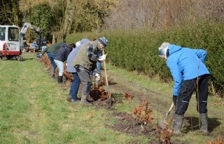 Start campagne 1001 hectare bomen en struiken