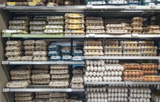 Einde van de stijgende eierprijzen nog niet in zicht