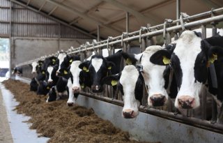 'Boer bereid klimaatmaatregelen te nemen, als het past in bedrijfsvoering'