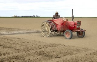Telers zaaien ruim 300 hectare bieten over vanwege stuifschade