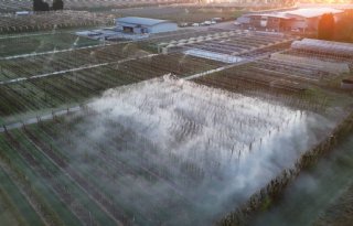 Vernevelingsproef bij appelbomen zorgt voor mooie beelden