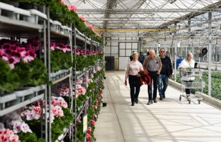 Limburgse kassen in de schijnwerpers tijdens Kom in de Kas