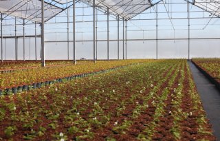 Slimme batterij houdt warmte vast in de kas