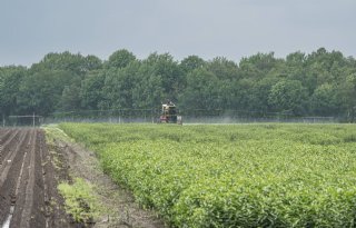 Bewijslast middelengebruik ligt nu bij de teler