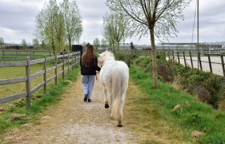 Zorgboer Hoogenboom: 'Bij de dieren worden de kinderen weer rustig'