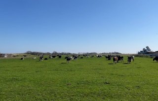 Zo bereiden Texelse boeren zich voor op de toekomst