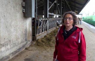 Veeveiling Grin: 'Slot van ons gevecht tegen de regelingen'